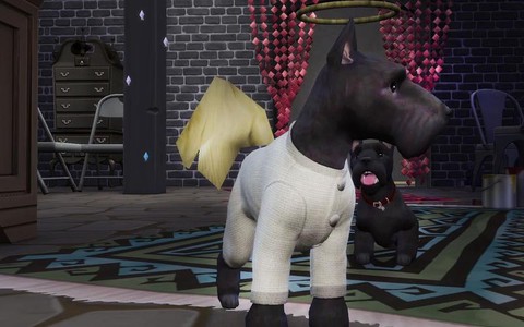 模拟人生4怎么捏狗