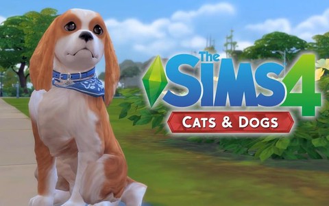 模拟人生4怎么捏狗[图1]