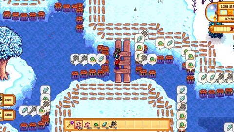 星露谷物语螃蟹怎么抓