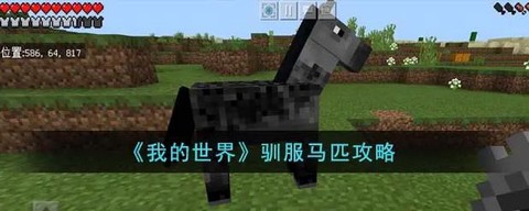 我的世界里的马怎么骑[图2]