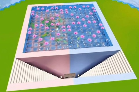 迷你世界怎么建水池[图2]