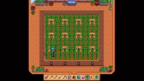 星露谷物语什么果树