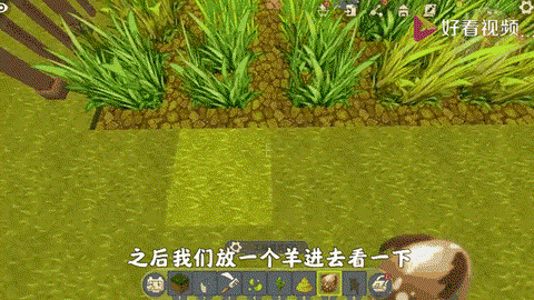 迷你世界怎么获得草坪[图1]