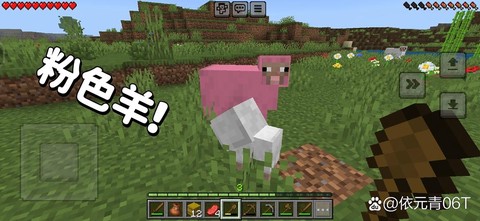 我的世界羊怎么驯服