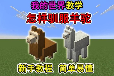 我的世界羊怎么驯服[图1]